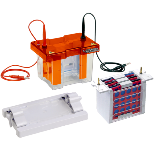 Complete Mini Electro Blot System, MV-10CBS  |PRODUCTS|Life Sciences Research|Electrophoresis and related products|Blotting